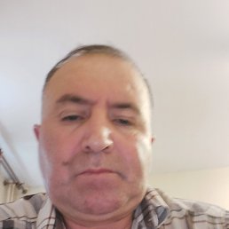 , 52, 