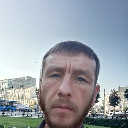 , 41, 