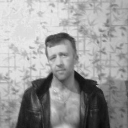 , 54,  