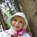  ,  -  28  2025    -    ,      .