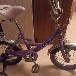 ��������� ��������, ����, 42 ����