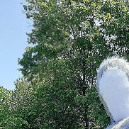 �����, 71 ���, �������