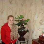 , 38 , -