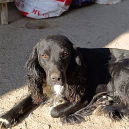 ���� ��������, �����, 46 ��� - ��������� 24 ������ 2023