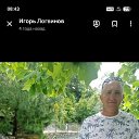 ���� �����, ����, 51 ��� - ��������� 5 ���� 2026 � ������ ���� ����������