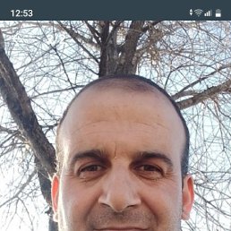 , 55, 