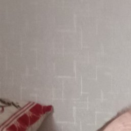 ��������, �����������, 69 ���