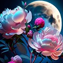 ���� �����, ������ - ��������� 6 ��� 2026 � ������ ������ ��������