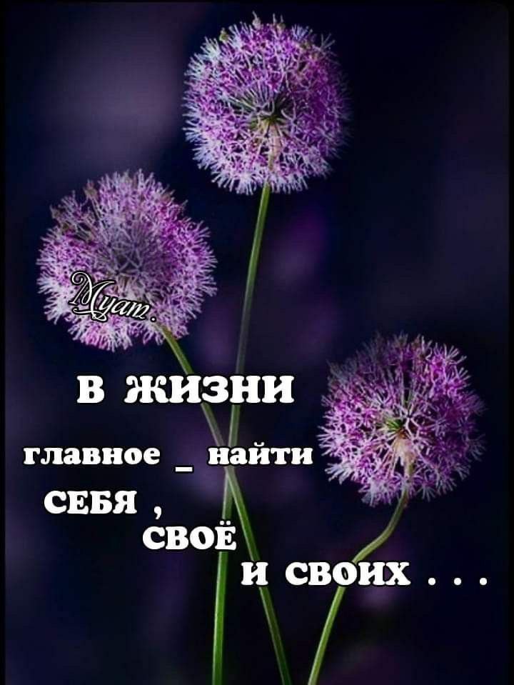   ! - 18  2024  11:29