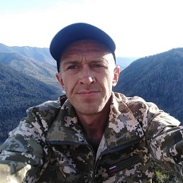 �������, 44 ����, �����