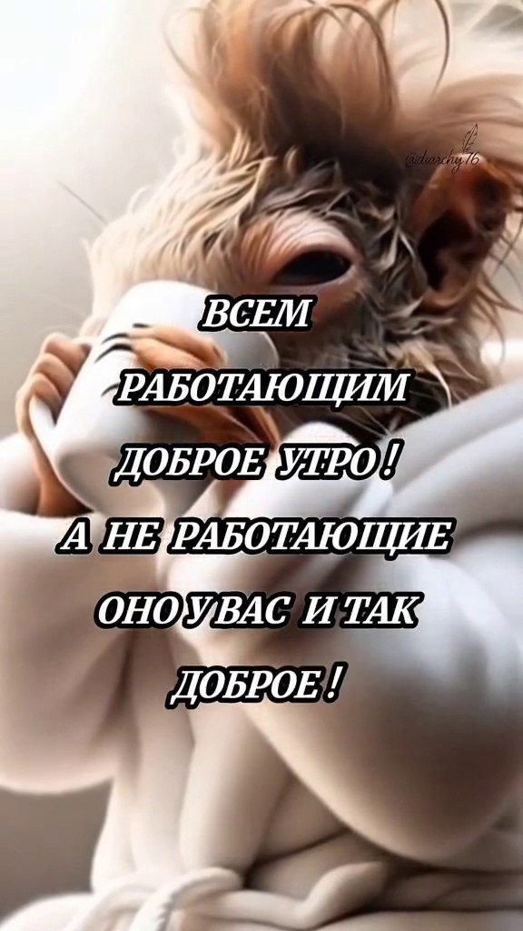 ,   !) - 2