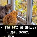  , , 52  -  19  2025    