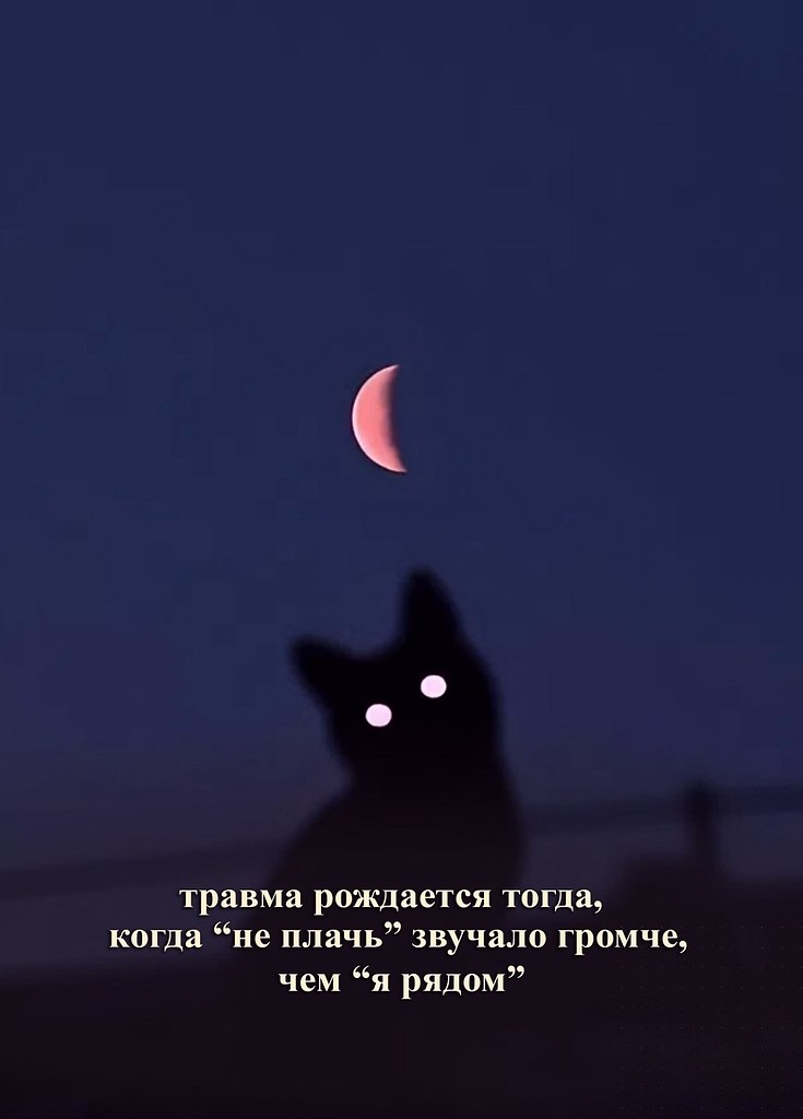  - 15  2025  07:10 - 4