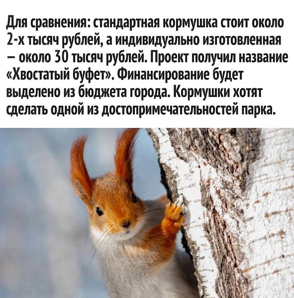       - 3
