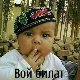 ���� ������, ������������, 50 ��� - ��������� 8 ���� 2026
