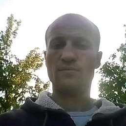 , 41, 