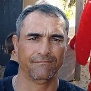 , 43 , 