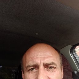, 51 , 