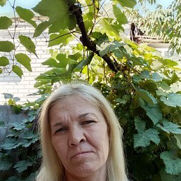, 42 , 