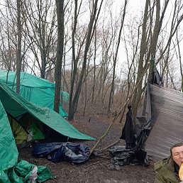 ���� ������, �����������, 36 ��� - ��������� 22 ������� 2023