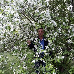 ������, ������, 59 ���