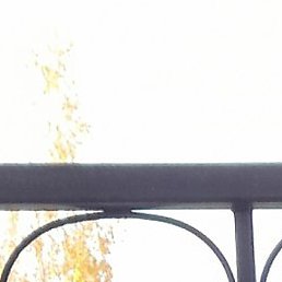 �����, �������, 38 ���