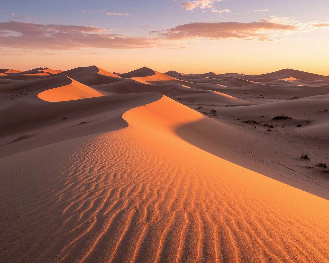   - 11  2025  07:40 - 4