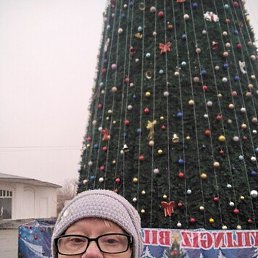 � � � �, �����, 62 ����