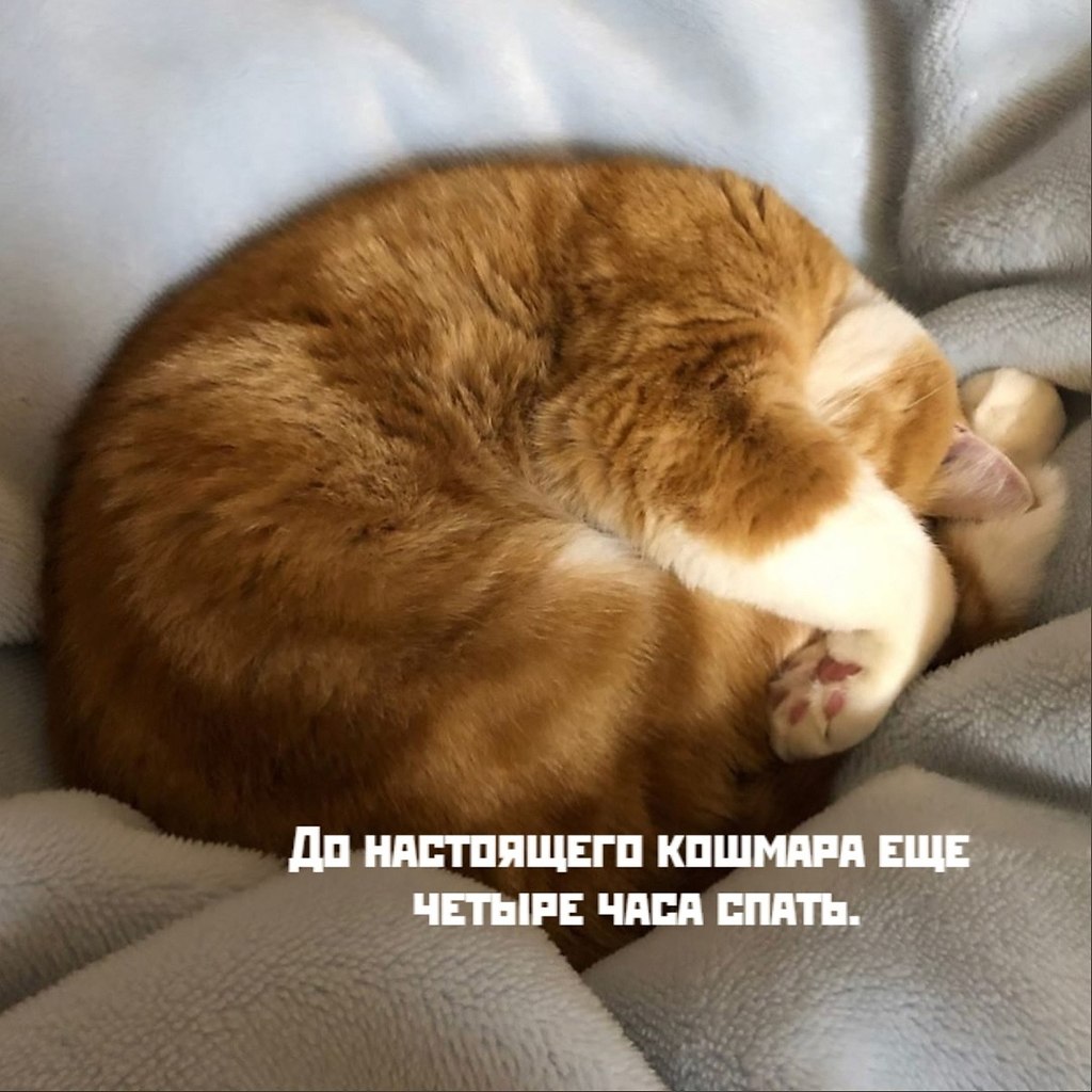       - 10  2025  17:30 - 4