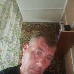 �����, �����������, 36 ���