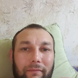 , 38,  