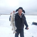 ���� �������, �����������, 37 ��� - ��������� 22 ������� 2025