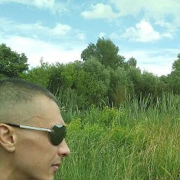 �������, ����, 38 ���