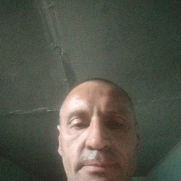 , 43 , 