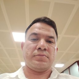 , 37, 