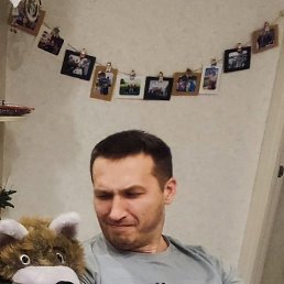 ������, �����, 41 ���