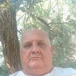 ���� ��������, 47 ���, ����