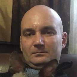 ������, ���������, 44 ����