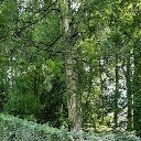 ���� �leksandr ******))))), ������� - ��������� 26 ���� 2026 � ������ ���� ����������