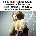 ���� Seagull, ������, 55 ��� - ��������� 23 ������� 2025 � ������ ������ ��������