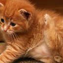 ���� �������, ������ - ��������� 27 ������� 2024 � ������ ������ ��������