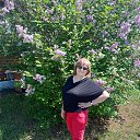 ���� �������, �����������, 69 ��� - ��������� 8 ������ 2026