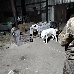 ���������, ������, 35 ���