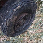 ������ ��������, 54 ����, ���������