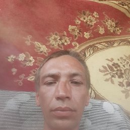 , 31 , 