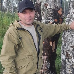 �����, ����, 44 ����