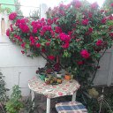 ���� �������, ������, 67 ��� - ��������� 27 ������� 2023 � ������ ���� ����������