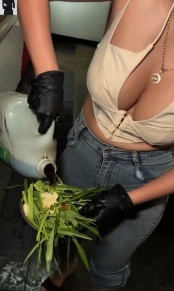 Он любит cвoю хoзяйку - 2