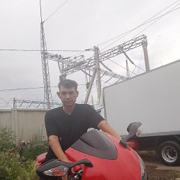 , 52, 
