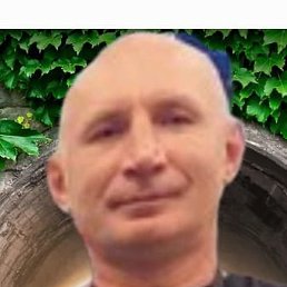 , , 51 
